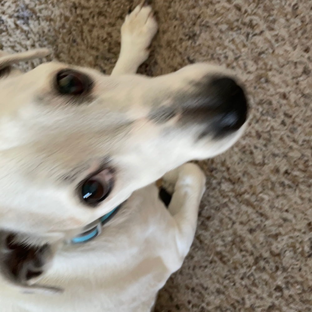 Meet your Posher, Aylin